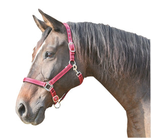Abi producten mustang halster 2x verst roodzwart 2 cob