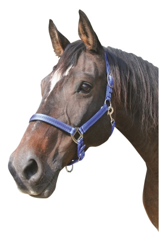 Abi producten mustang halster 2x verst blauwzwart 2 cob