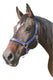 Abi producten mustang halster 2x verst blauwzwart 2 cob
