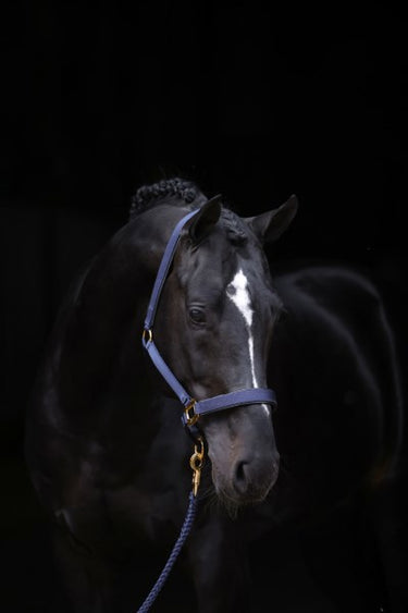 Abi producten topline halster blauw 1 pony