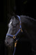 Abi producten topline halster blauw 2 cob