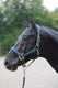 Abi producten topline halster donkergroen 2 cob