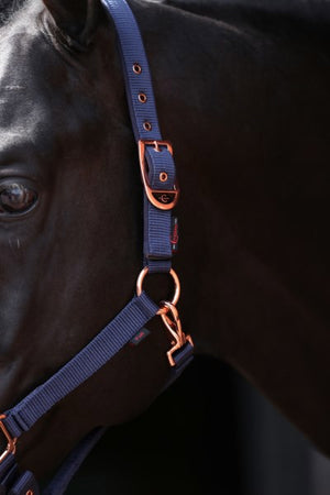 Abi producten classy halster veulenshetland marine