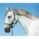 Abi producten hippo halster antralemon 1 pony