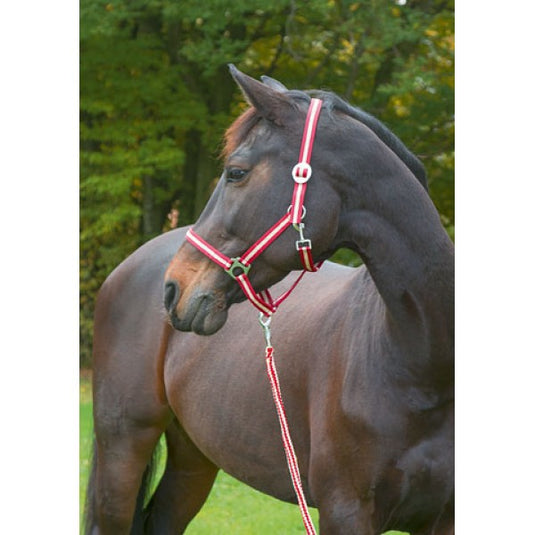 Abi producten hippo halster bordeauxbeige 3 full