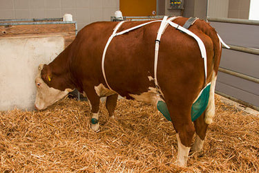 Producten uiernet compleet