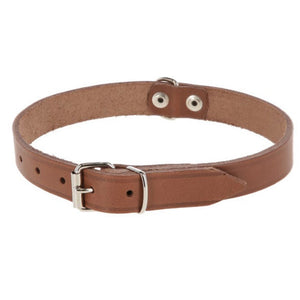Producten hondenhalsband leer 10mm taupe