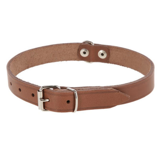 Producten hondenhalsband leer 16mm taupe