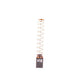 Hauptner producten koolborstel plus veer he 07 2 stuks