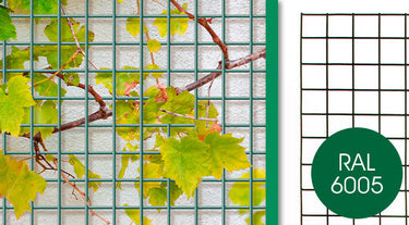 Giardino producten bologna draadpaneel 5x5cm x 150cm x 100cm ral 6005 groen