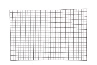 Giardino producten bologna draadpaneel 5x5cm x 150cm x 100cm ral 7016 antraciet