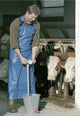 Producten melkschort 80x120cm blauw