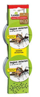 Luxan producten mierenlokdoos 2 st