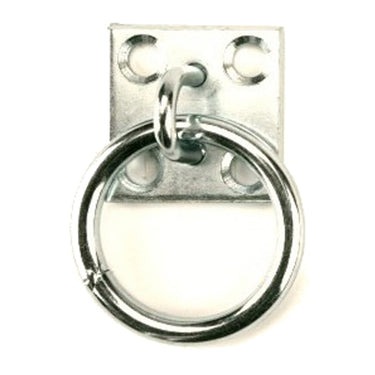 Producten muurplaat met ring 8mm rvs