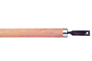 Producten teerkopsteel 60cm met druif