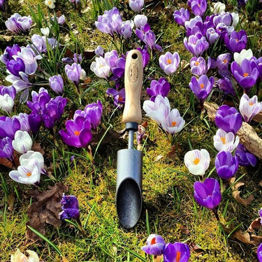 De wit producten bollenpoter krokus essen handvat 140mm dewit