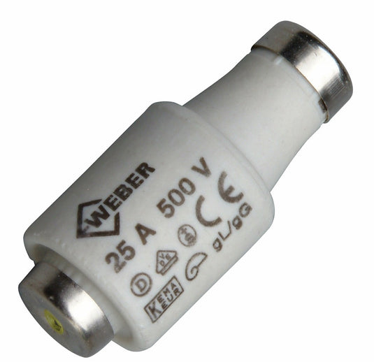 Enzo producten zekering stoppen 25amp 5stuks