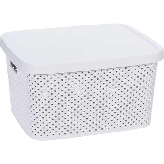 Storage solutions opbergdoos met deksel 7 liter 27,4x22x15cm kunststof 4ass