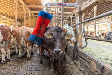 Producten happycow veeborstel freemaxi