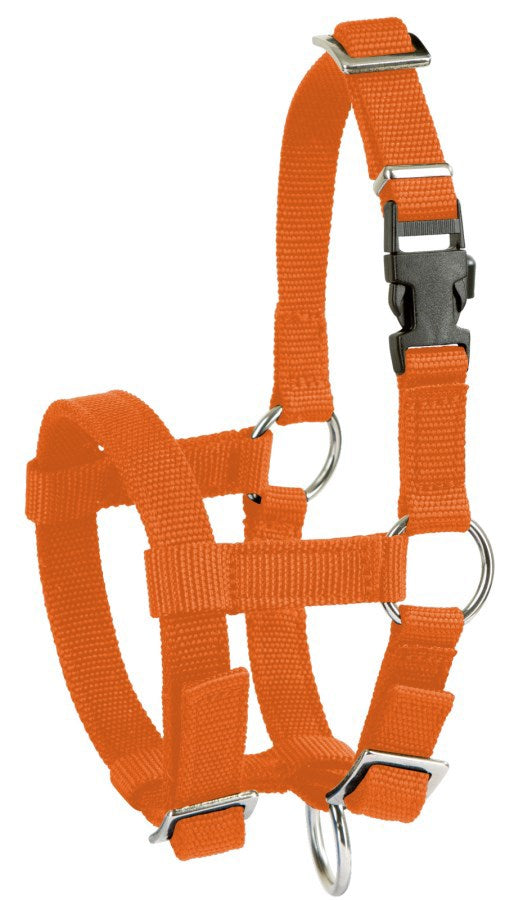Alpaca halster oranje