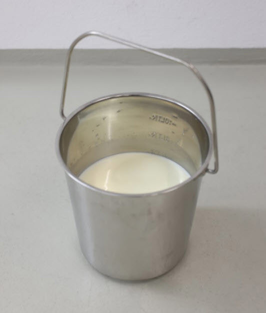 Producten emmer rvs met hengsel 12 3l