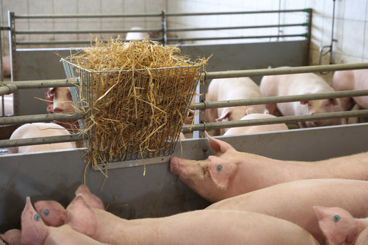 Producten hooiruif dubbel opzetruif fijn spijlafstand 20mm