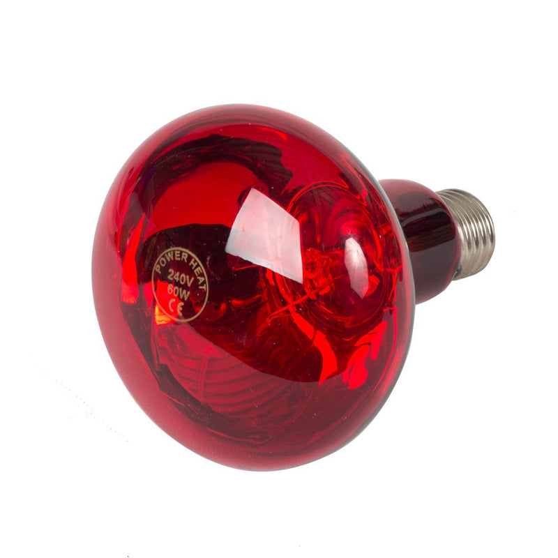 Afbeelding laden in galerijviewer, Producten warmtelamp powerheat 60w rood
