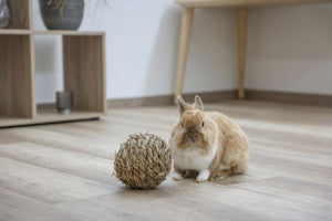 Kerbl producten grasbal 13 cm