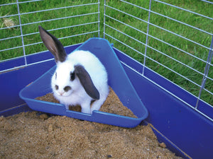 Kerbl producten hoektoilet voor knaagdierkooien 35 x 22 x 16 cm
