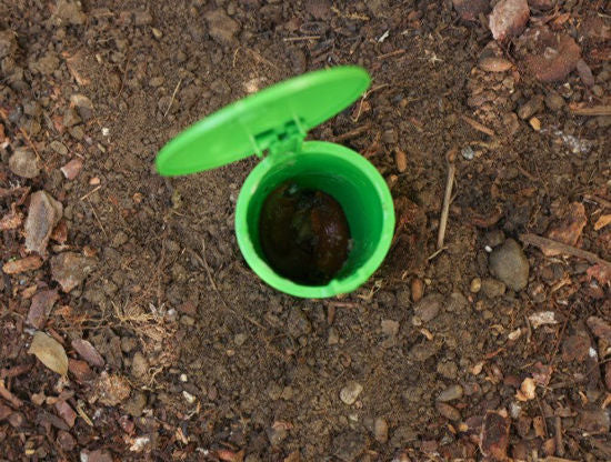 Load image into Gallery viewer, Slakkenval snailbowl 15cm
