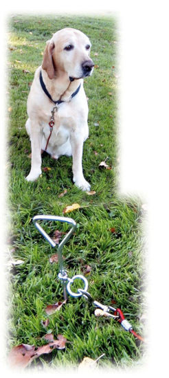 Load image into Gallery viewer, Aanlegspiraal 8mm x 40cm met looplijn 5mm x 6m
