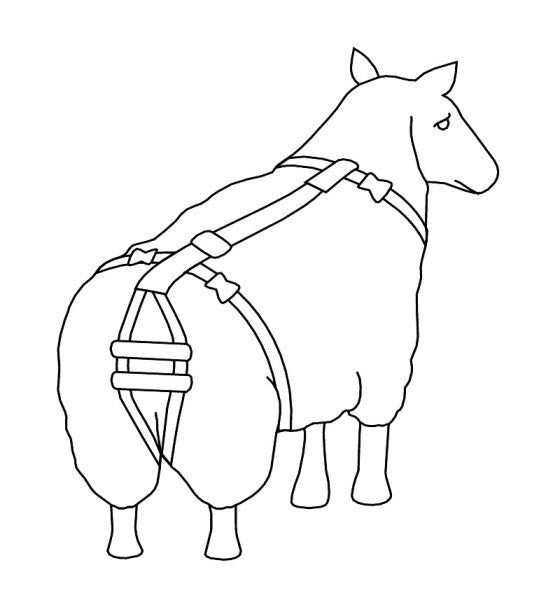 Load image into Gallery viewer, Lijfbieder bandage prolapsbandage voor schapen
