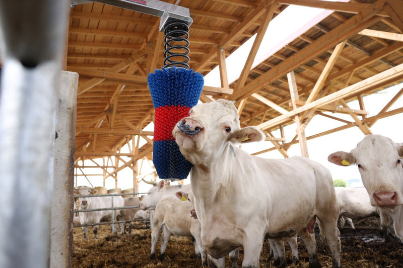 Load image into Gallery viewer, Happycow veeborstel flexiswing
