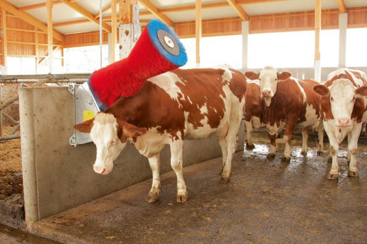 Producten happycow koeborstel uno horizontaal