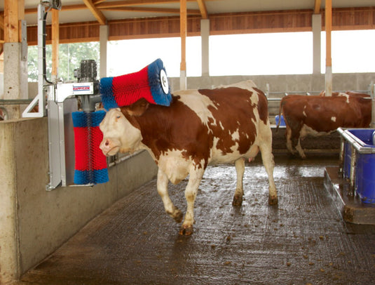 Producten happycow koeborstel duo