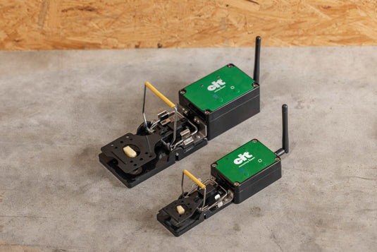 Producten muizenval smart cit mousestop