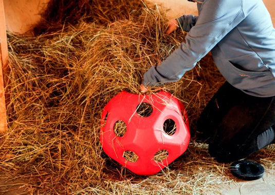 Voederspeel bal rood