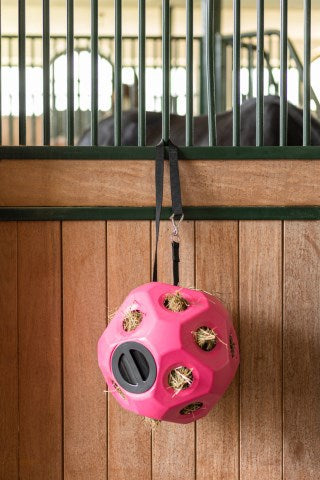 Voederspeel bal roze