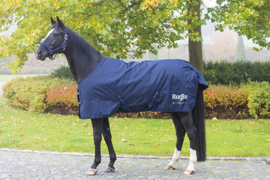 Abi producten paardendeken winter rugbe iceprotect 300 165cm215cm 1