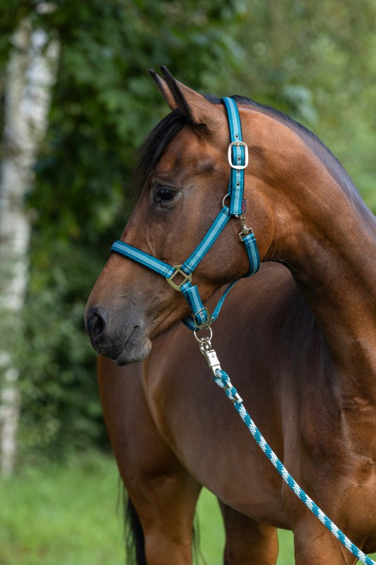 Abi producten halstertouw mustang karjnhaak 200cm turkoois
