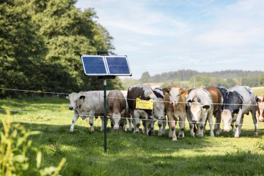 Ako producten sun power s2400 schrikdraadapparaat smart plus zonnepaneel