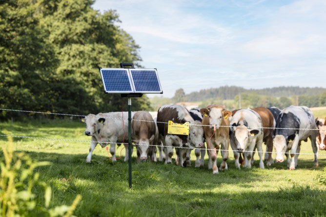 Afbeelding laden in galerijviewer, Ako producten sun power s2400 schrikdraadapparaat smart plus zonnepaneel

