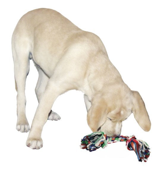 Load image into Gallery viewer, Producten katoenen flostouw 37cm
