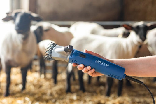 Aesculap econom producten scheermachine econom nova 200 watt schaap