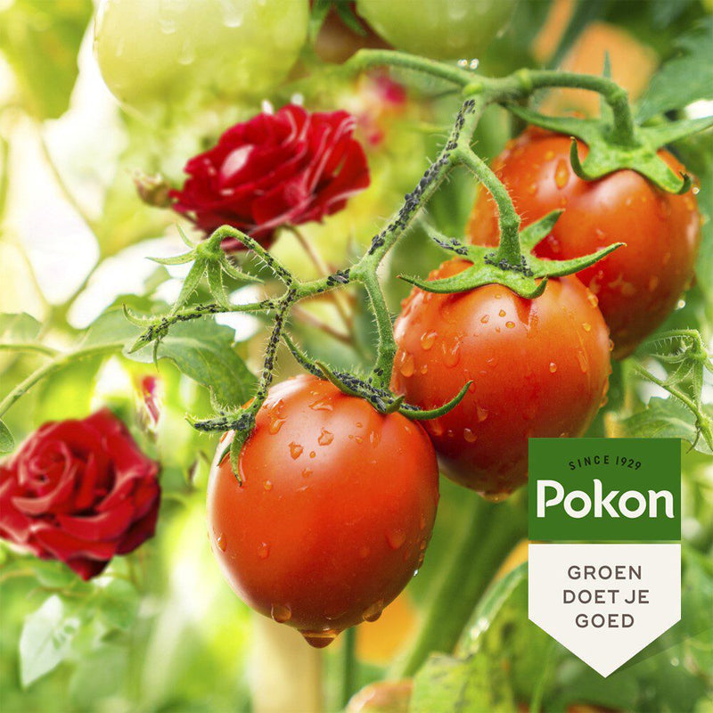 Load image into Gallery viewer, Pokon bio tegen insecten spray 800ml polysect gyo spray
