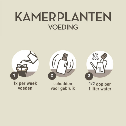 Pokon kamerplanten voeding 500ml 2