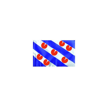 Vlag friesland 90x150cm 75d polyester