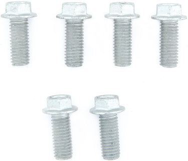 Trw bouten-set screw set 6pcs. m8x1,25