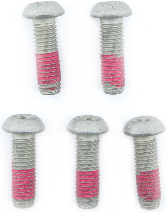 Trw schraubensatz screw 5pcs. for brake rotors,5 pcs.