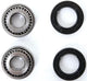 All balls racing wiellagerset wheel bearing sets 25-100 complete with simmerrings